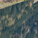volredaktion_20091124122417_06.jpg