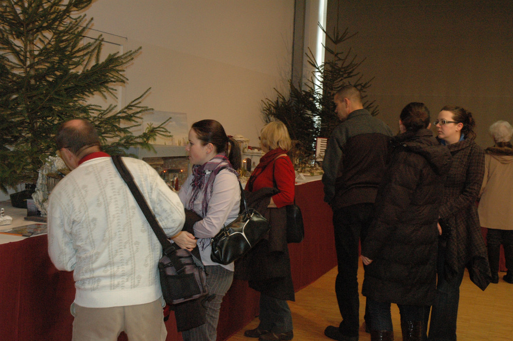 DSC_0595-1_jpg-1291544509