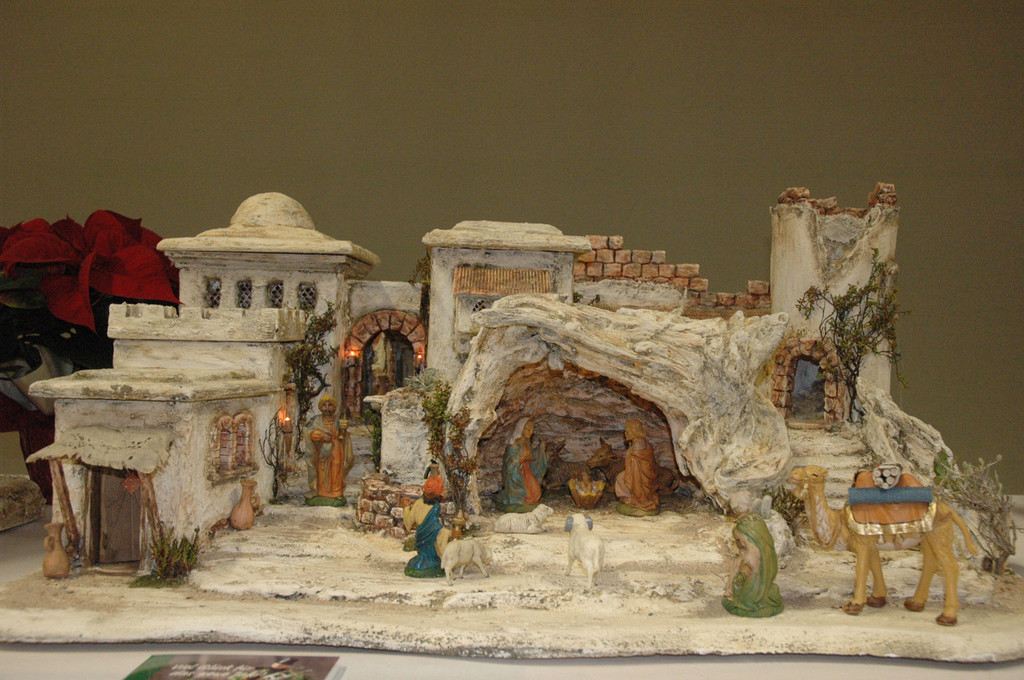 DSC_0450-1_jpg-1291544081