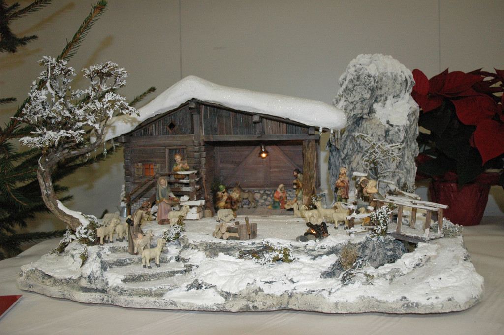 DSC_0514-1_jpg-1291544177