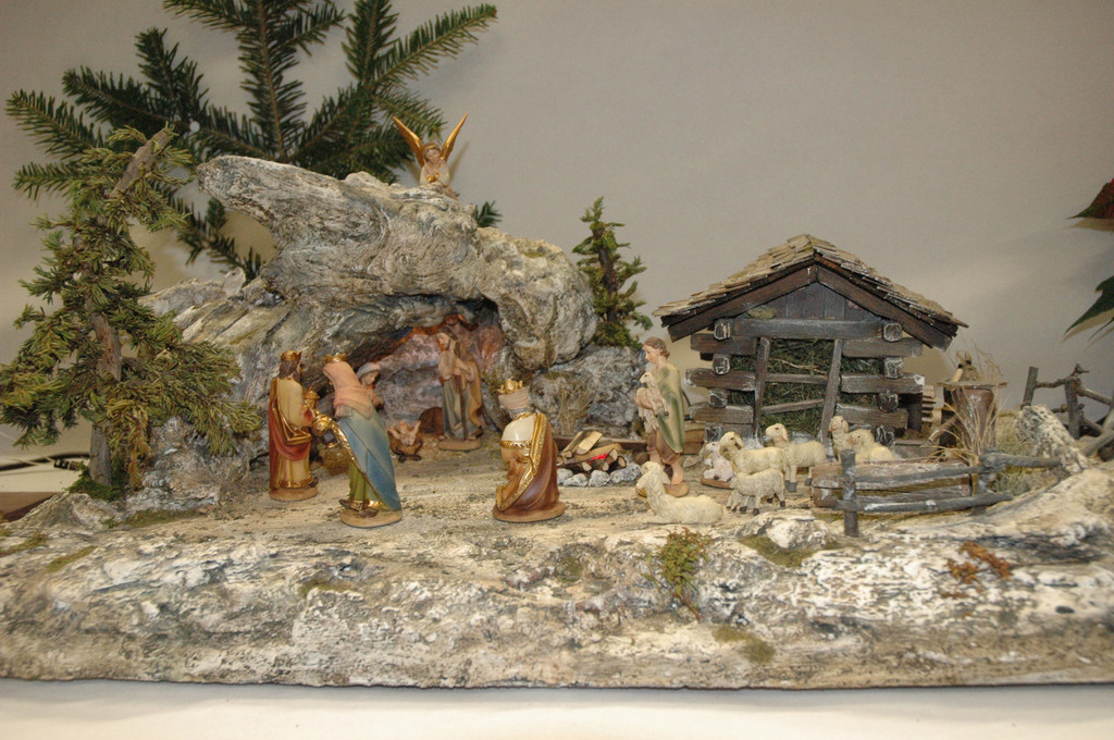 DSC_0541-1_jpg-1291544224