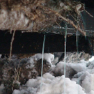 normal_04122010backwarenlkwvusaaktivnews067.jpg