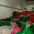normal_04122010backwarenlkwvusaaktivnews068.jpg