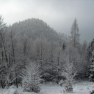 normal_04122010advrlaktivnews__15_.jpg