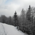 normal_04122010advrlaktivnews__17_.jpg