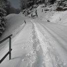 normal_04122010advrlaktivnews__20_.jpg