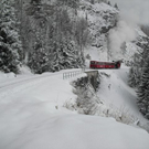 normal_04122010advrlaktivnews__24_.jpg