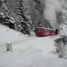 normal_04122010advrlaktivnews__25_.jpg
