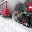 normal_04122010advrlaktivnews__26_.jpg