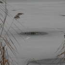 normal_06122010eisdicketaaktivnews_08.jpg