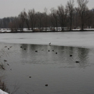 normal_06122010eisdicketaaktivnews_10.jpg