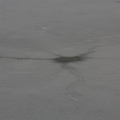 normal_06122010eisdicketaaktivnews_24.jpg