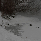 normal_06122010eisdicketaaktivnews_25.jpg