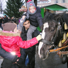 Markt5Pferd_jpg-1291662400