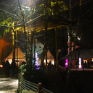 Wald Klang 2010.jpg