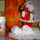 DSC00558.jpg