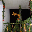 DSC00566.jpg