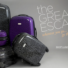 JS_LANDING_LUGGAGE_0802_4.jpg