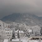 SL743358.JPG