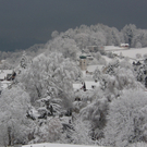 SL743362.JPG