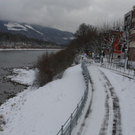 normal_10122010strassentaaktivnews_26.jpg