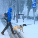 normal_10122010winterchaossbgmwaktivnews_14.jpg