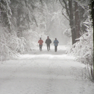 Winterlandschaft an der Ill