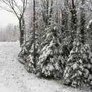 Illspitz 008_JPG-1292075425