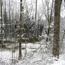 Illspitz 009_JPG-1292075446