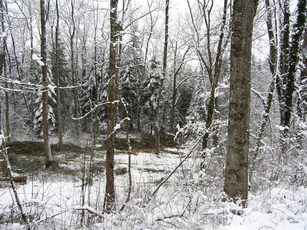 Illspitz 009_JPG-1292075446