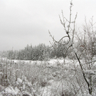 Illspitz 013_JPG-1292075487