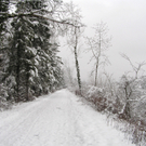 Illspitz 014_JPG-1292075505