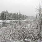 Illspitz 015_JPG-1292075524