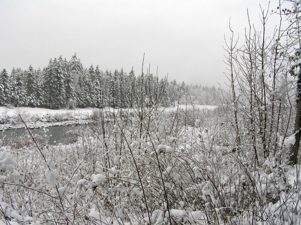 Illspitz 015_JPG-1292075524