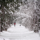 Illspitz 018_JPG-1292075566