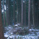 BK_nofelsimwinter 9_jpg-1292082174