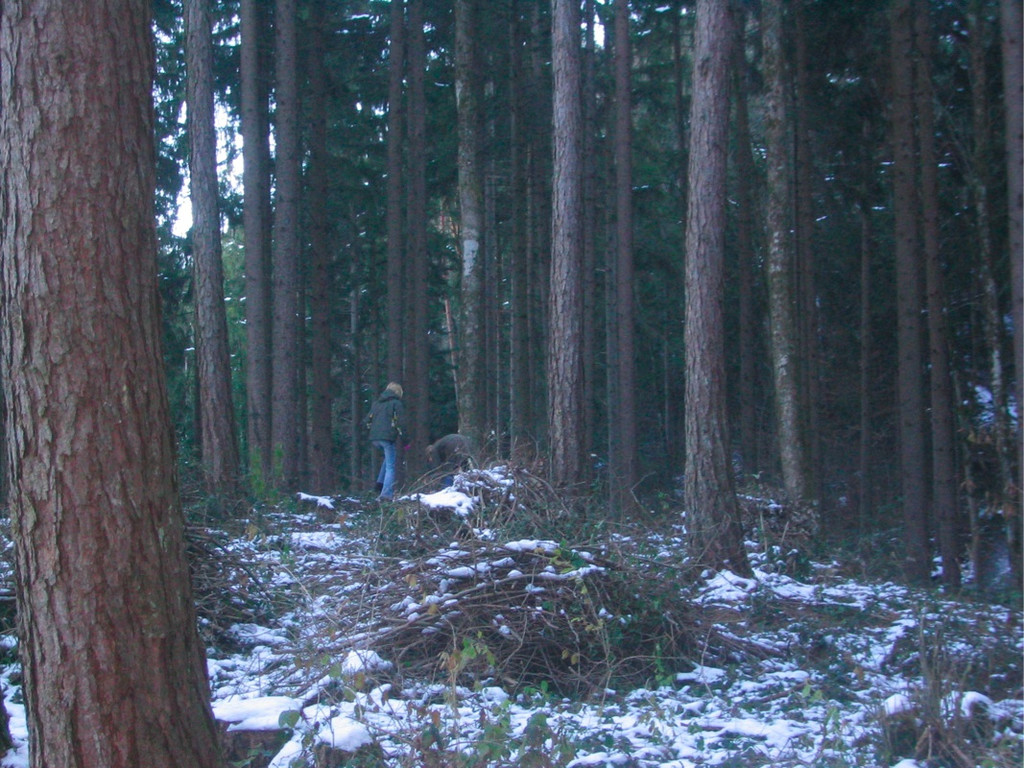 BK_nofelsimwinter 9_jpg-1292082174