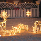 Rentiere, Tannenbäume und Weihnachtsmann