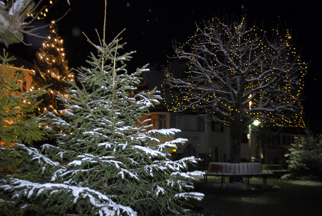 064_bearbeitet-1_jpg-1292085758