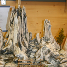 BK_krippenbauvereinFG 18_jpg-1292106411