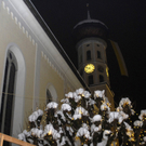 011_bearbeitet-2_jpg-1292139244