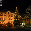 017_bearbeitet-1_jpg-1292139354