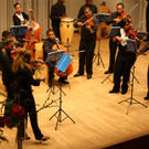IMG_0005_jpg-1292141150