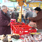 DSC_0013.JPG