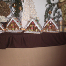 CIMG4319_JPG-1292166651