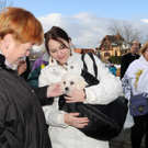 Markt Gai__au 12_12_201020_jpg-1292167810