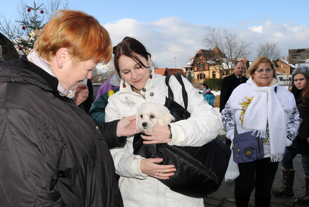 Markt Gai__au 12_12_201020_jpg-1292167810