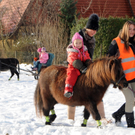 Markt Gai__au 12_12_201024_jpg-1292167850