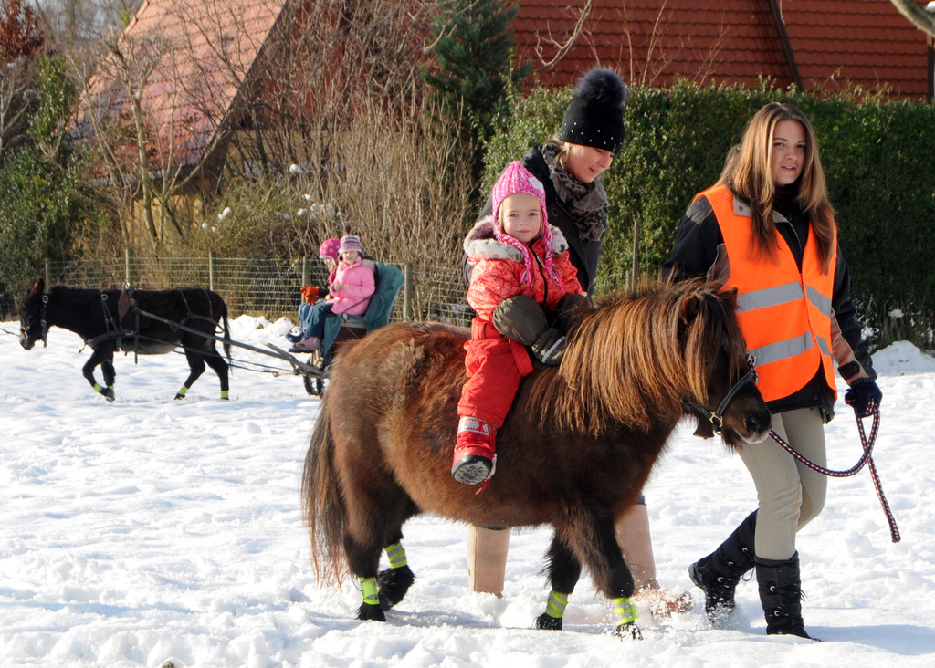 Markt Gai__au 12_12_201024_jpg-1292167850