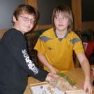 Krippe3a_jpg-1292170066